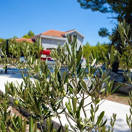 Obiteljska Kuca Za Odmor Futura Milna (Brac)