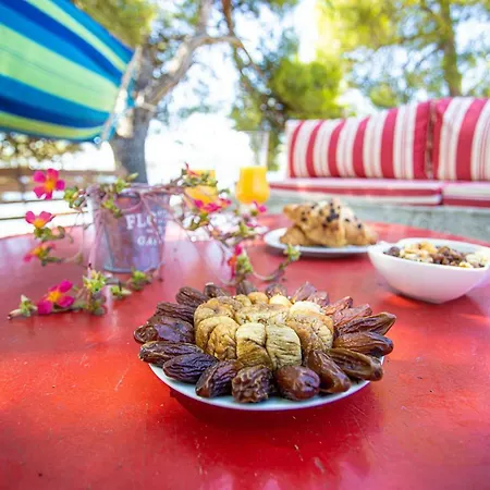 Holiday home Obiteljska Kuca Za Odmor Futura Milna (Brac)