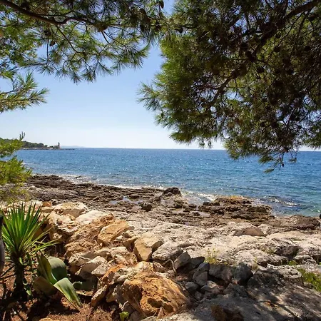 Obiteljska Kuca Za Odmor Futura Holiday home *